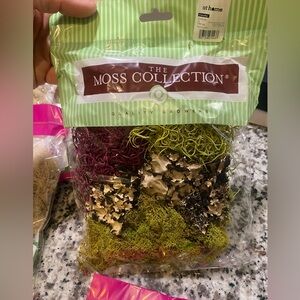Mixed Media Art Reindeer Moss & Lichens - Green Hues, Purple Hues and Brown Hues